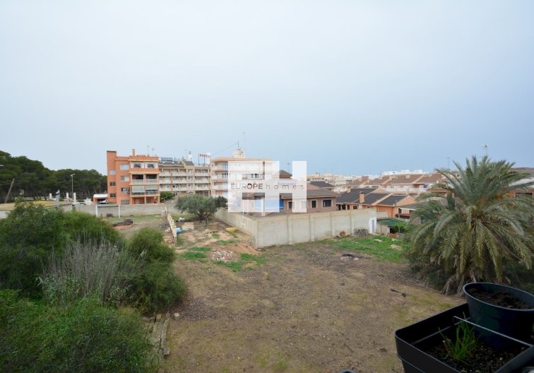 Revente - Appartement - Guardamar del Segura - Costa Blanca