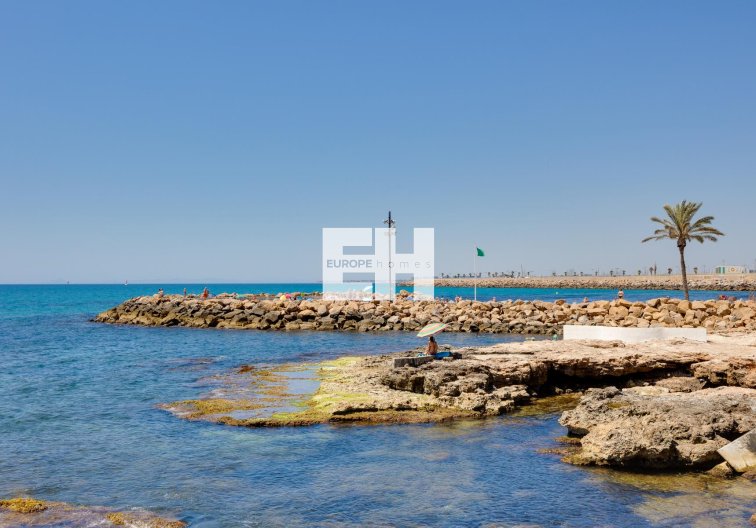 Segunda mano - Apartamento  - Torrevieja - Costa Blanca