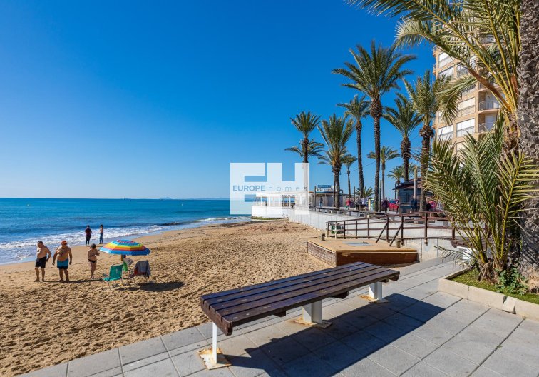Segunda mano - Apartamento  - Torrevieja - Costa Blanca