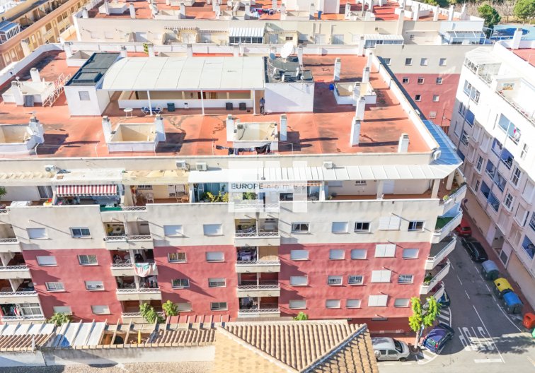 Segunda mano - Apartamento  - Torrevieja - Costa Blanca