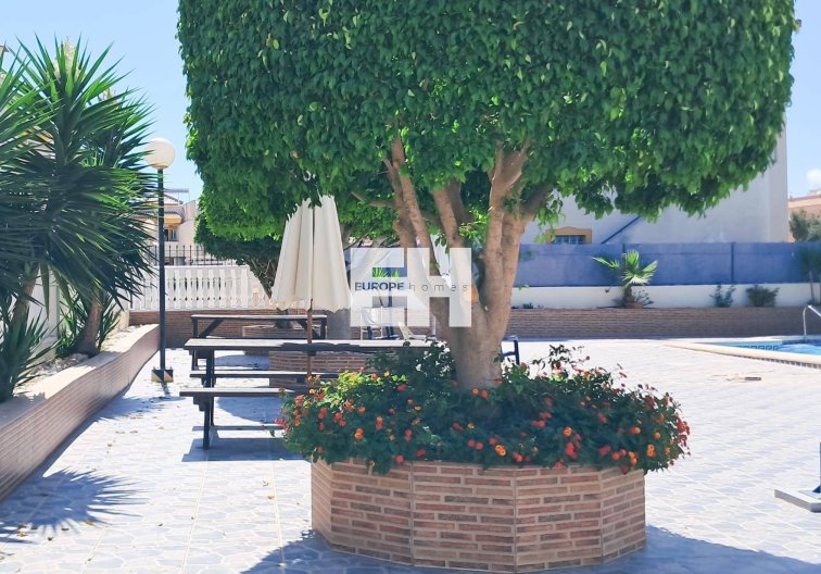 Herverkoop - Appartement - Torrevieja - Parque Acuático - Sector 25