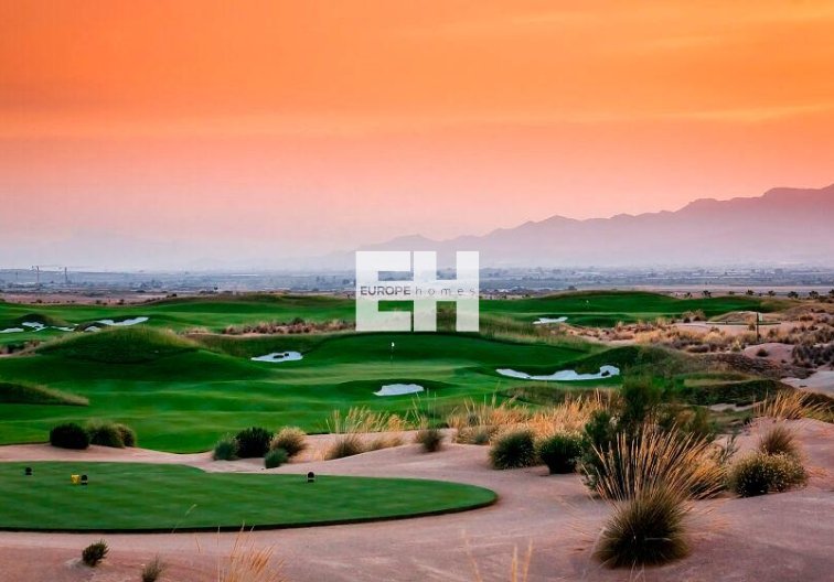 Construction Neuve - villa - Alhama de Murcia - Condado De Alhama