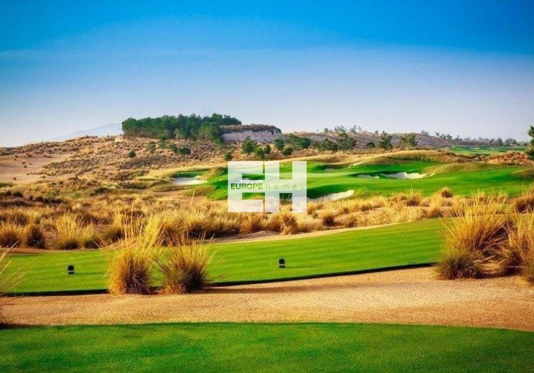 Construction Neuve - villa - Alhama de Murcia - Condado De Alhama