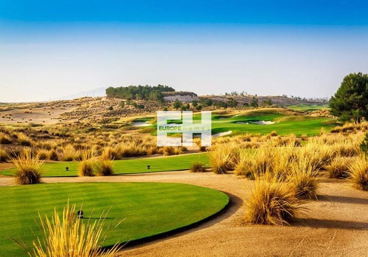 Construction Neuve - villa - Alhama de Murcia - Condado De Alhama