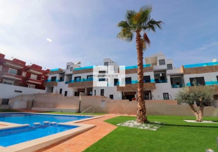 Obra Nueva - town house - Bigastro - pueblo