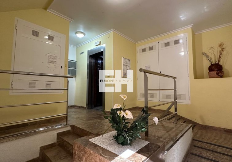 Segunda mano - Apartamento  - Torrevieja - Estacion De Autobuses