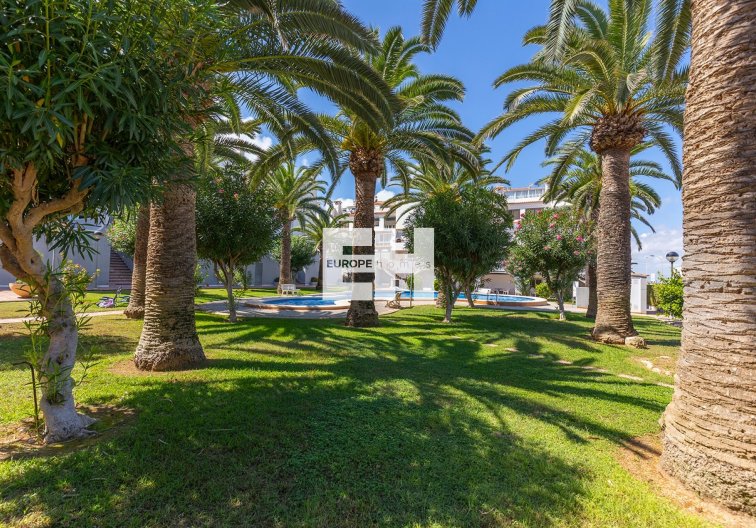 Segunda mano - Apartamento  - La Mata - Costa Blanca