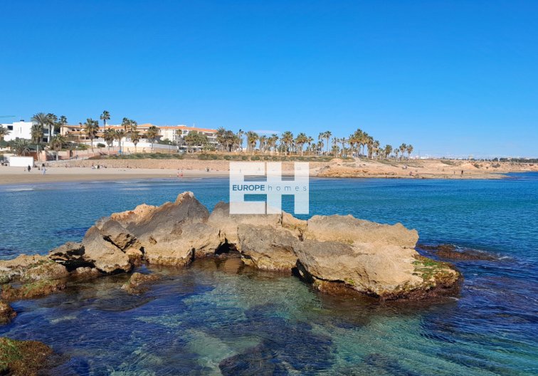 Segunda mano - Apartamento  - Playa Flamenca - Costa Blanca