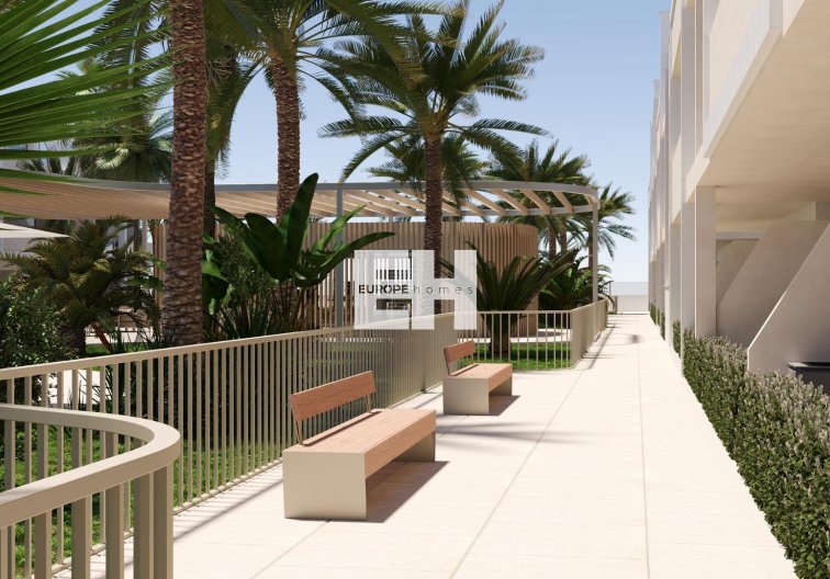 Construction Neuve - Appartement - Torre Pacheco - San Cayetano