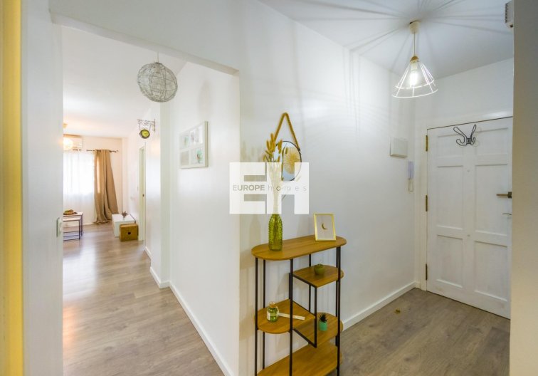 Segunda mano - Apartamento  - Torrevieja - Estacion De Autobuses