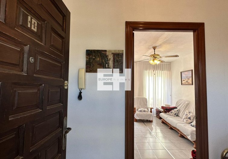 Segunda mano - Atico - Torrevieja - Estacion De Autobuses