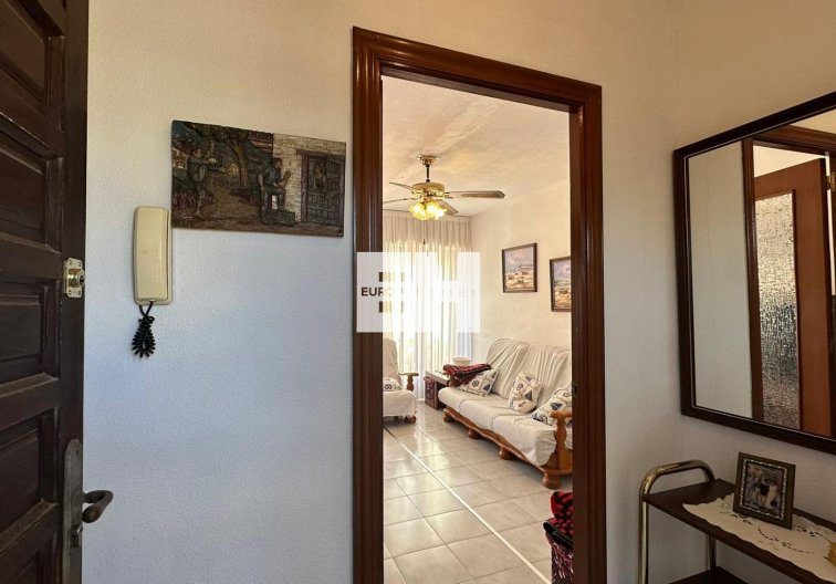 Segunda mano - Atico - Torrevieja - Estacion De Autobuses