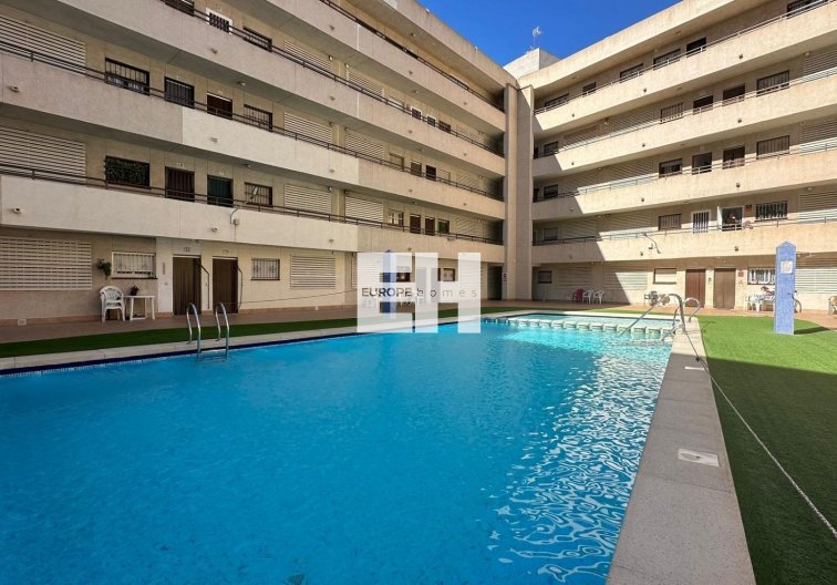 Segunda mano - Atico - Torrevieja - Estacion De Autobuses