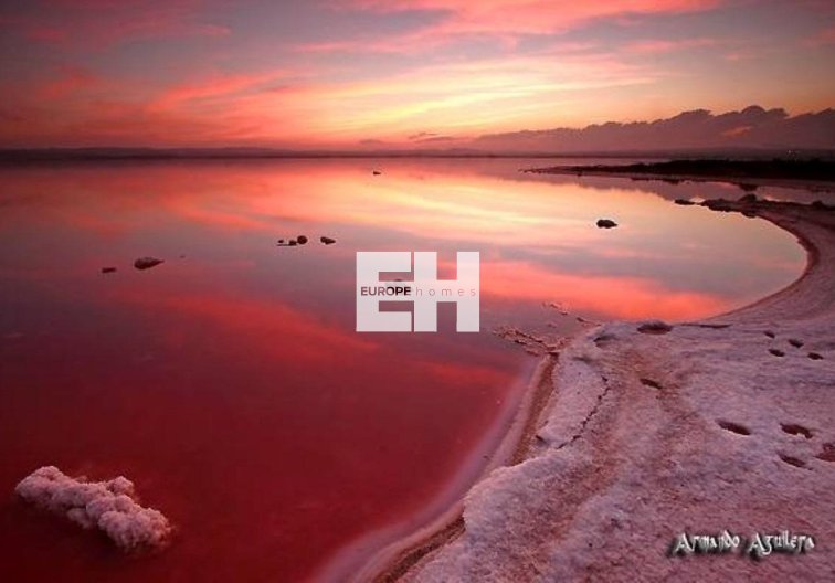 Segunda mano - Duplex - Torrevieja - La Siesta