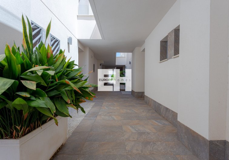 Segunda mano - Apartamento  - Torrevieja - Costa Blanca