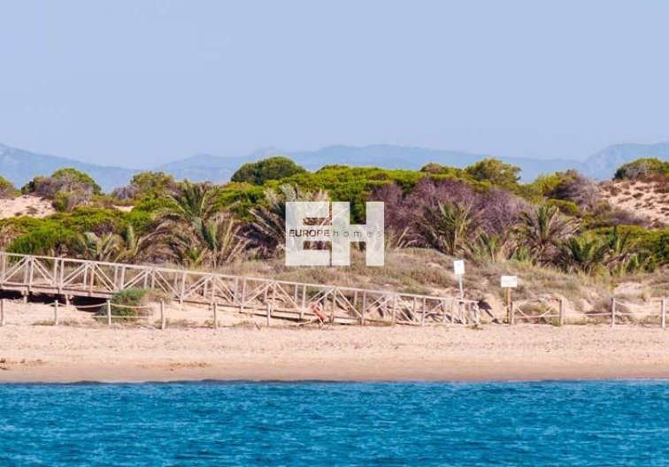 Obra Nueva - Atico - Guardamar del Segura - Pueblo