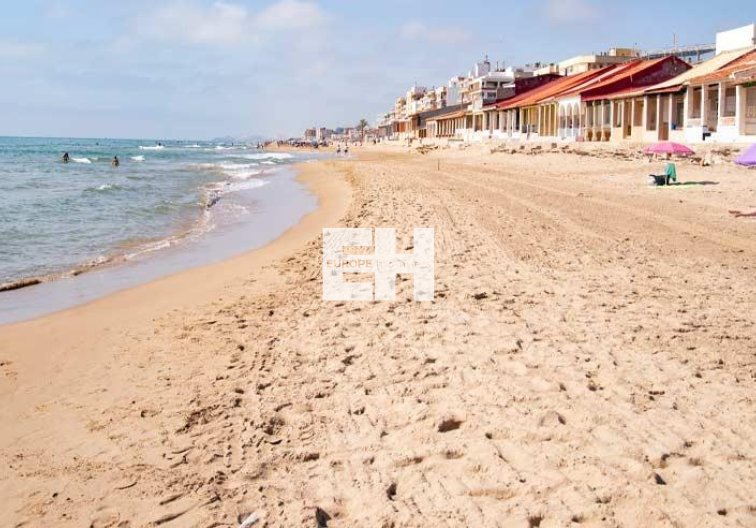 Obra Nueva - Apartamento  - Guardamar del Segura - Pueblo