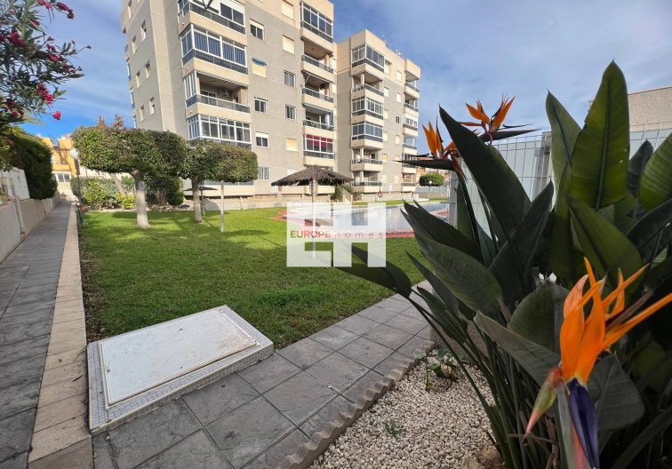 Herverkoop - Appartement - Torrevieja - Aguas Nuevas