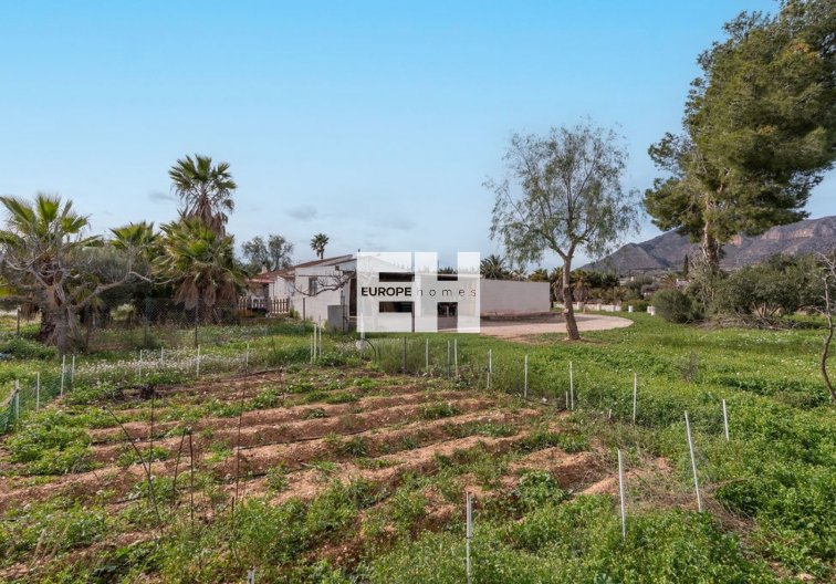 Revente - villa - Hondón de las Nieves - Inland