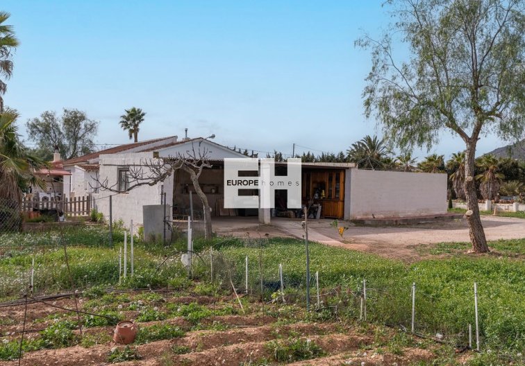 Revente - villa - Hondón de las Nieves - Inland