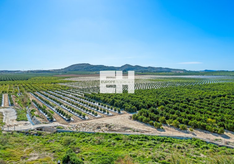 Herverkoop - Appartement - Algorfa - Inland