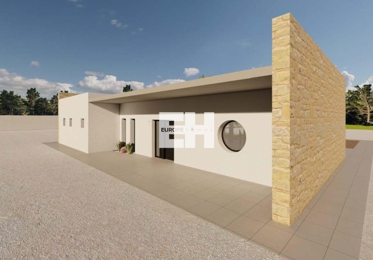 Neubau - villa - Pinoso - Campo