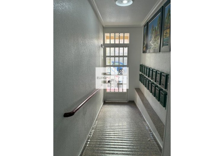 Segunda mano - Apartamento  - Torrevieja - Centro