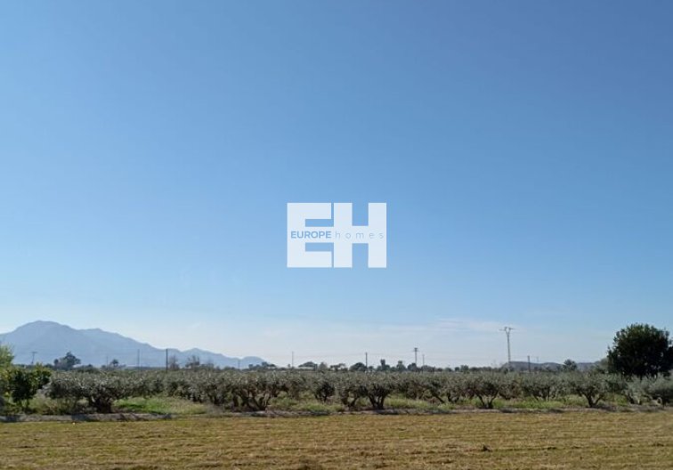 Segunda mano - town house - Catral - Costa Blanca