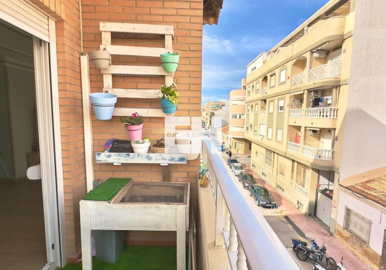 Segunda mano - Apartamento  - Torrevieja
