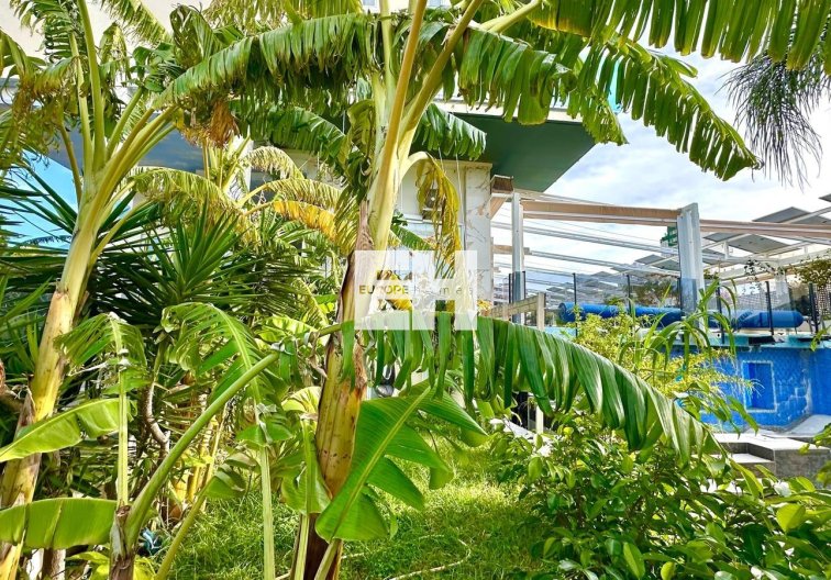 Wiederverkauf - Wohnung - Finestrat