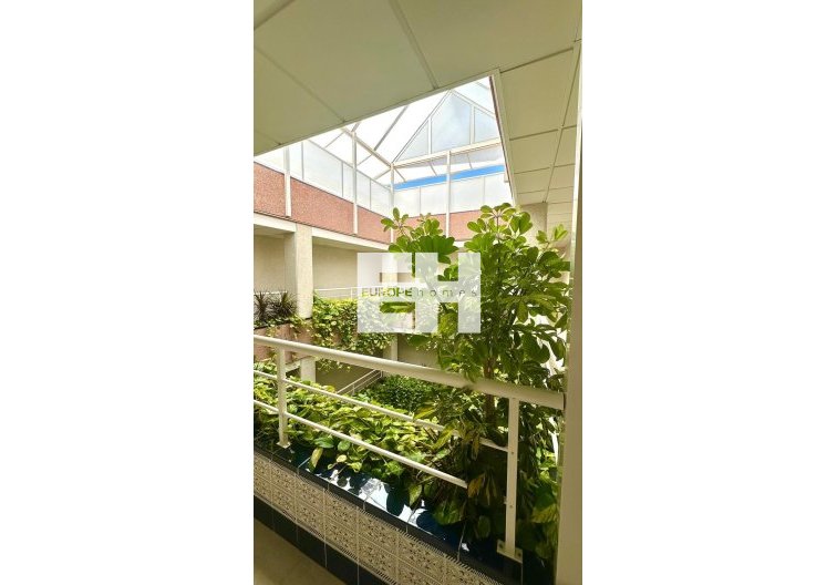 Segunda mano - Atico - Torrevieja - Centro