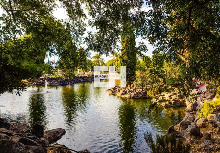 Segunda mano - Atico - Torrevieja - Centro