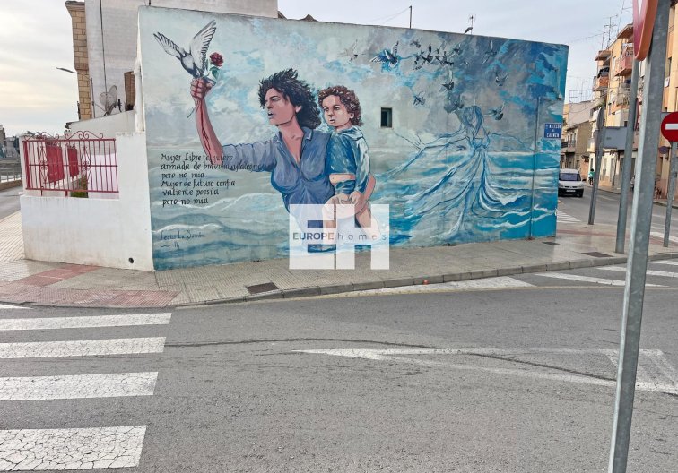 Resale - Apartment - Formentera del Segura - Los Palacios