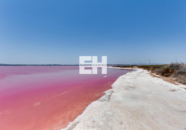 Segunda mano - Apartamento  - Torrevieja - Acequion