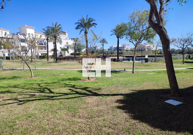 Resale - Apartment - Hacienda Riquelme Golf Resort - Inland