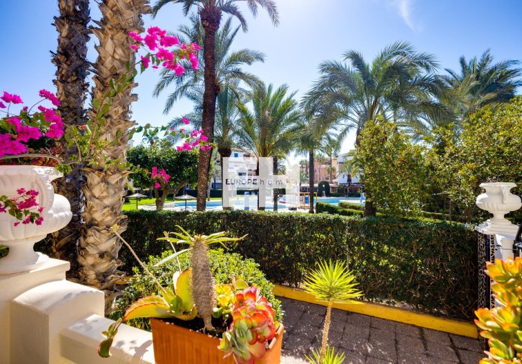Resale - Apartment - Torrevieja - Playa de los Locos