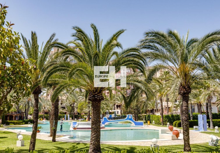Resale - Apartment - Torrevieja - Playa de los Locos