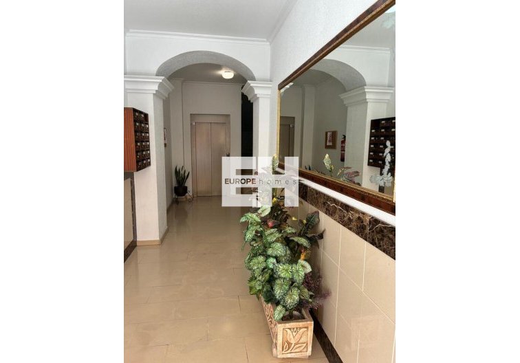 Segunda mano - Apartamento  - Almoradí - Costa Blanca