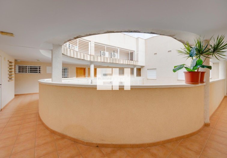 Segunda mano - Apartamento  - Torrevieja - Centro