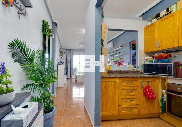 Segunda mano - Apartamento  - Torrevieja - Centro