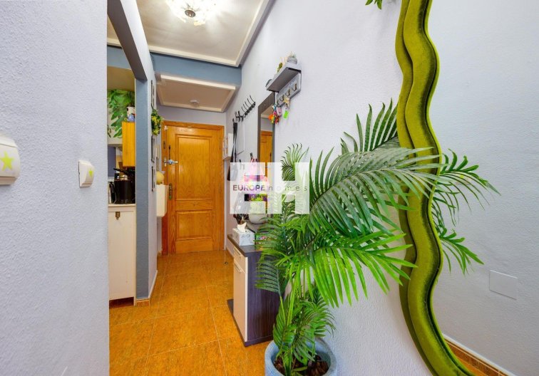 Segunda mano - Apartamento  - Torrevieja - Centro