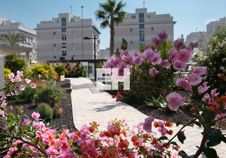 Revente - Appartement - Orihuela Costa - Los Dolses