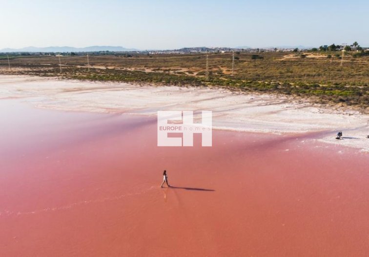 New Build - Penthouse - Torrevieja - Playa de los Locos