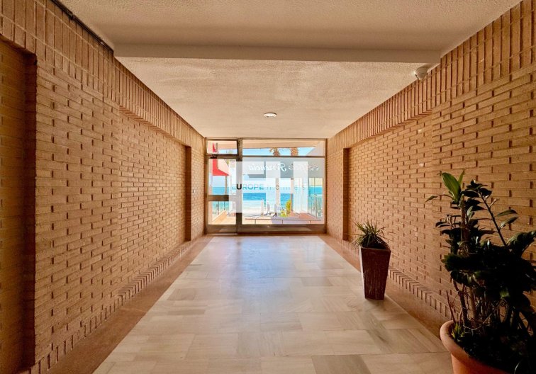 Segunda mano - Apartamento  - Torrevieja - Estacion De Autobuses