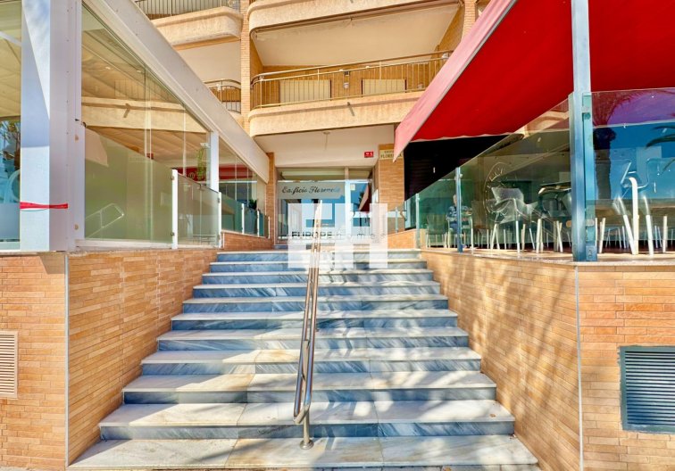 Segunda mano - Apartamento  - Torrevieja - Estacion De Autobuses