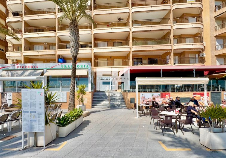 Segunda mano - Apartamento  - Torrevieja - Estacion De Autobuses