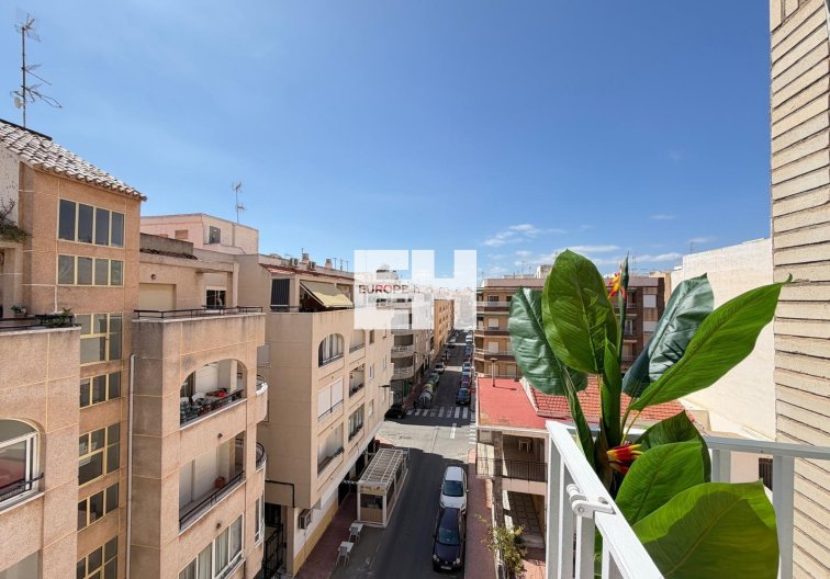 Segunda mano - Atico - Torrevieja - Estacion De Autobuses