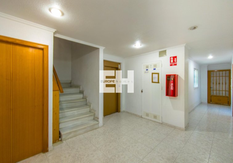 Segunda mano - Apartamento  - Torrevieja - Estacion De Autobuses