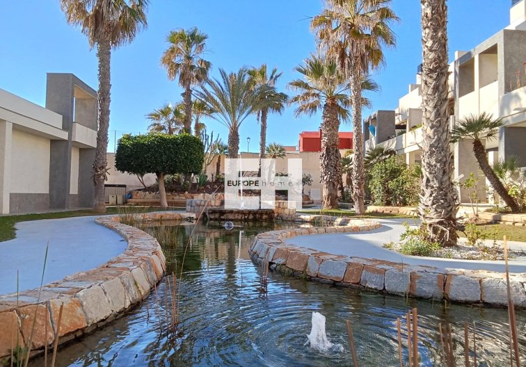 Segunda mano - Atico - Torrevieja - Playa De La Mata