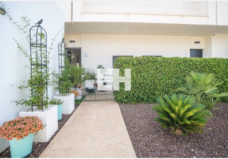 Segunda mano - Apartamento  - Pilar de la Horadada - Costa Blanca